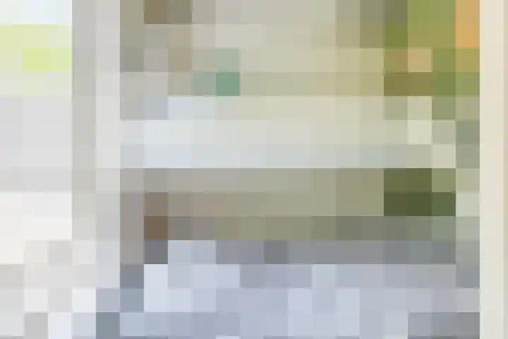 Rekerlanden 126 Warmenhuizen thumbnail 20