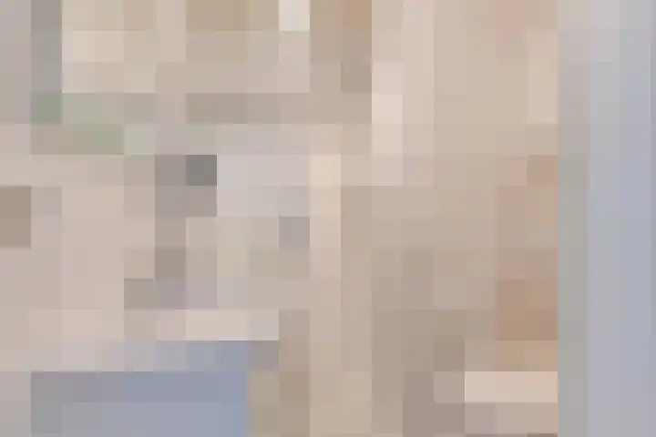 Rekerlanden 126 Warmenhuizen thumbnail 22