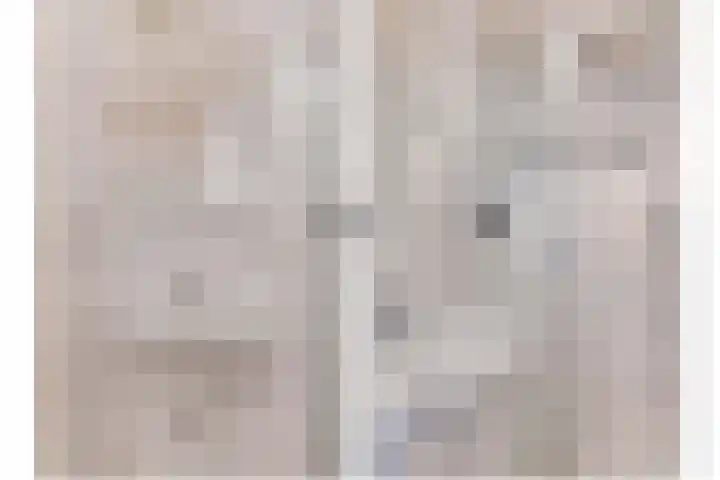 Rekerlanden 126 Warmenhuizen thumbnail 23