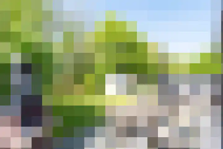 Rekerlanden 126 Warmenhuizen thumbnail 26