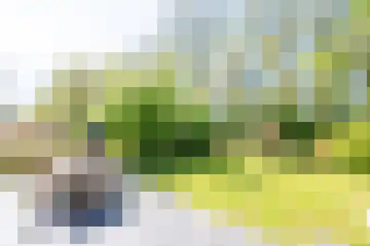 Rekerlanden 126 Warmenhuizen thumbnail 27