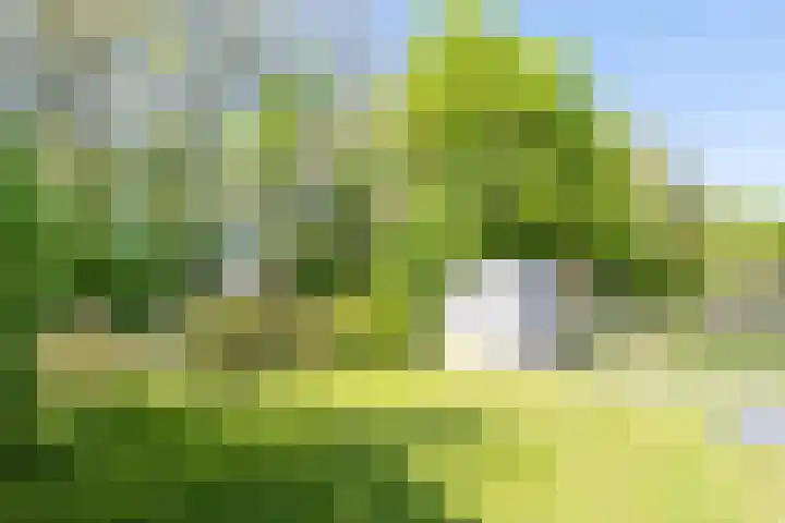 Rekerlanden 126 Warmenhuizen thumbnail 28