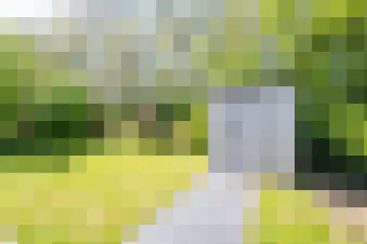 Rekerlanden 126 Warmenhuizen thumbnail 29