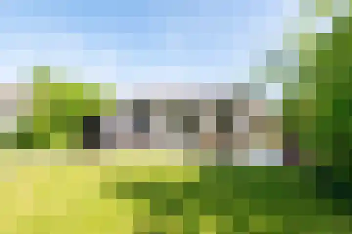 Rekerlanden 126 Warmenhuizen thumbnail 30
