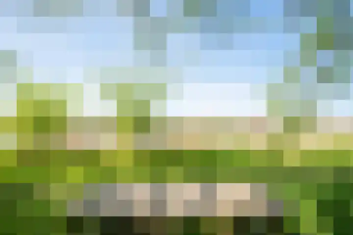 Rekerlanden 126 Warmenhuizen thumbnail 31