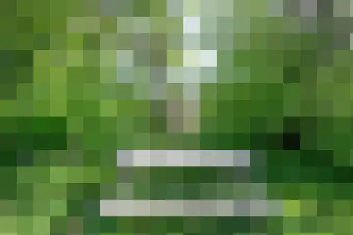 Rekerlanden 126 Warmenhuizen thumbnail 32