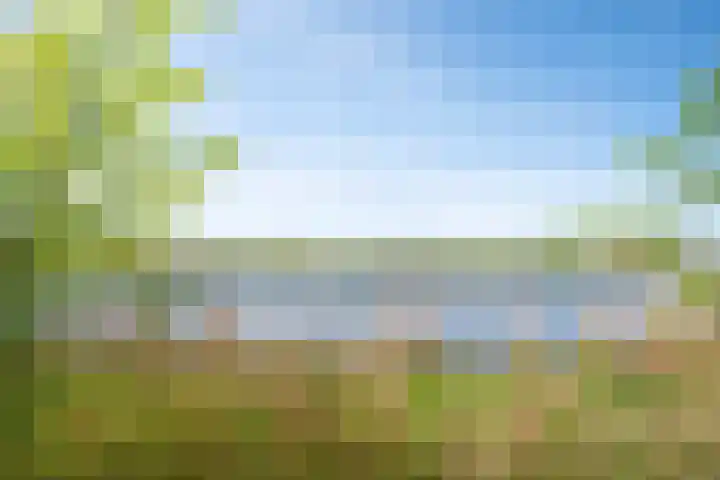 Rekerlanden 126 Warmenhuizen thumbnail 33