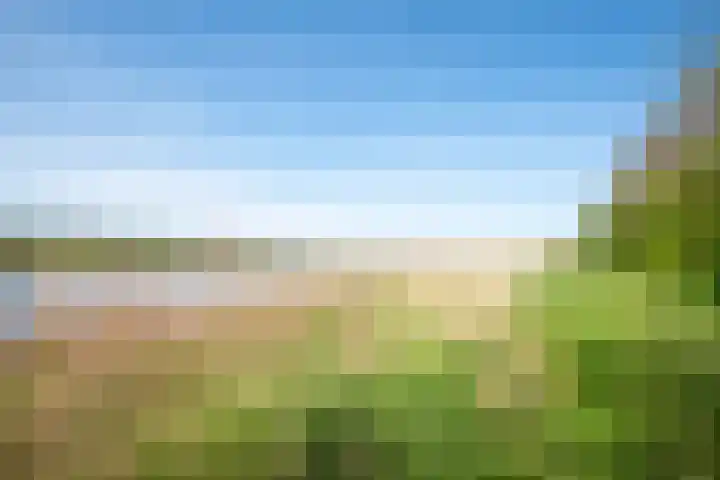 Rekerlanden 126 Warmenhuizen thumbnail 34