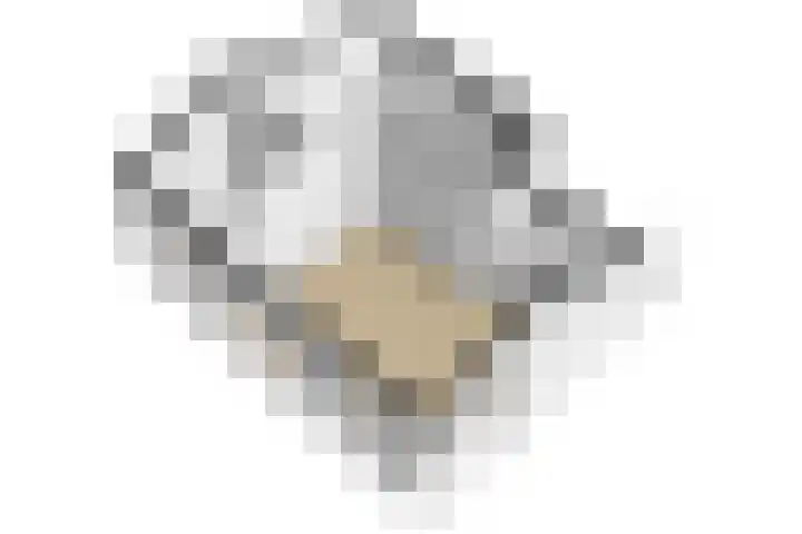 Rekerlanden 126 Warmenhuizen thumbnail 37