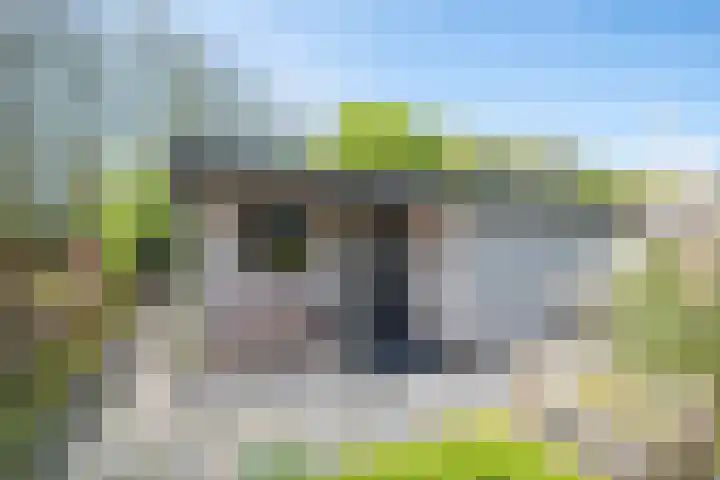 Rekerlanden 126 Warmenhuizen thumbnail 4