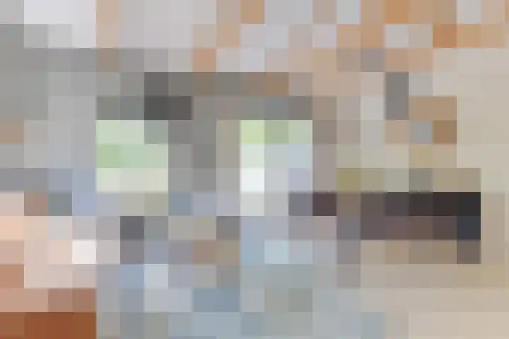 Rekerlanden 126 Warmenhuizen thumbnail 8