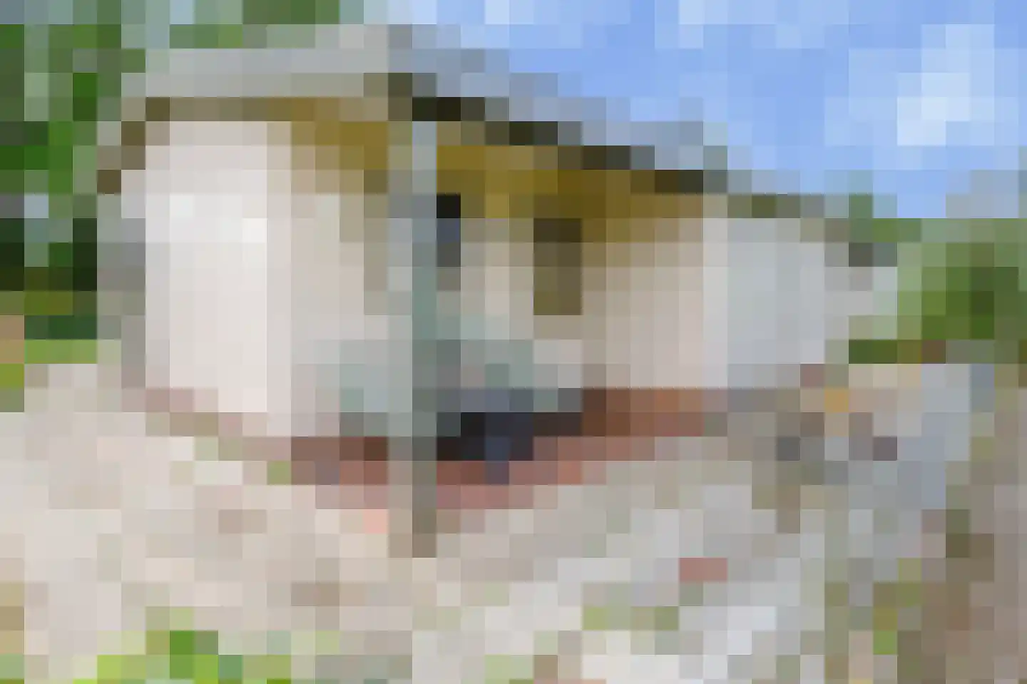 Rekerlanden 127 Warmenhuizen thumbnail 15