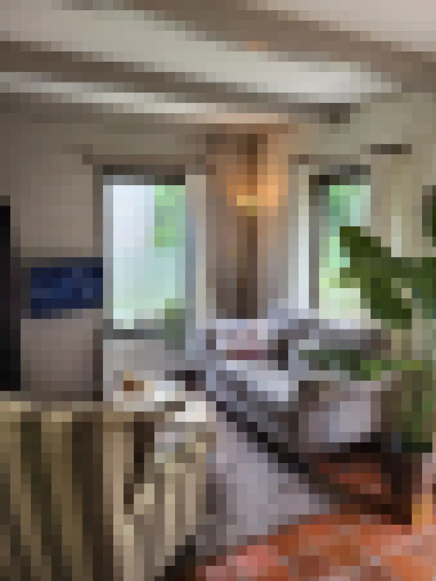 Rekerlanden 128 Warmenhuizen thumbnail 5