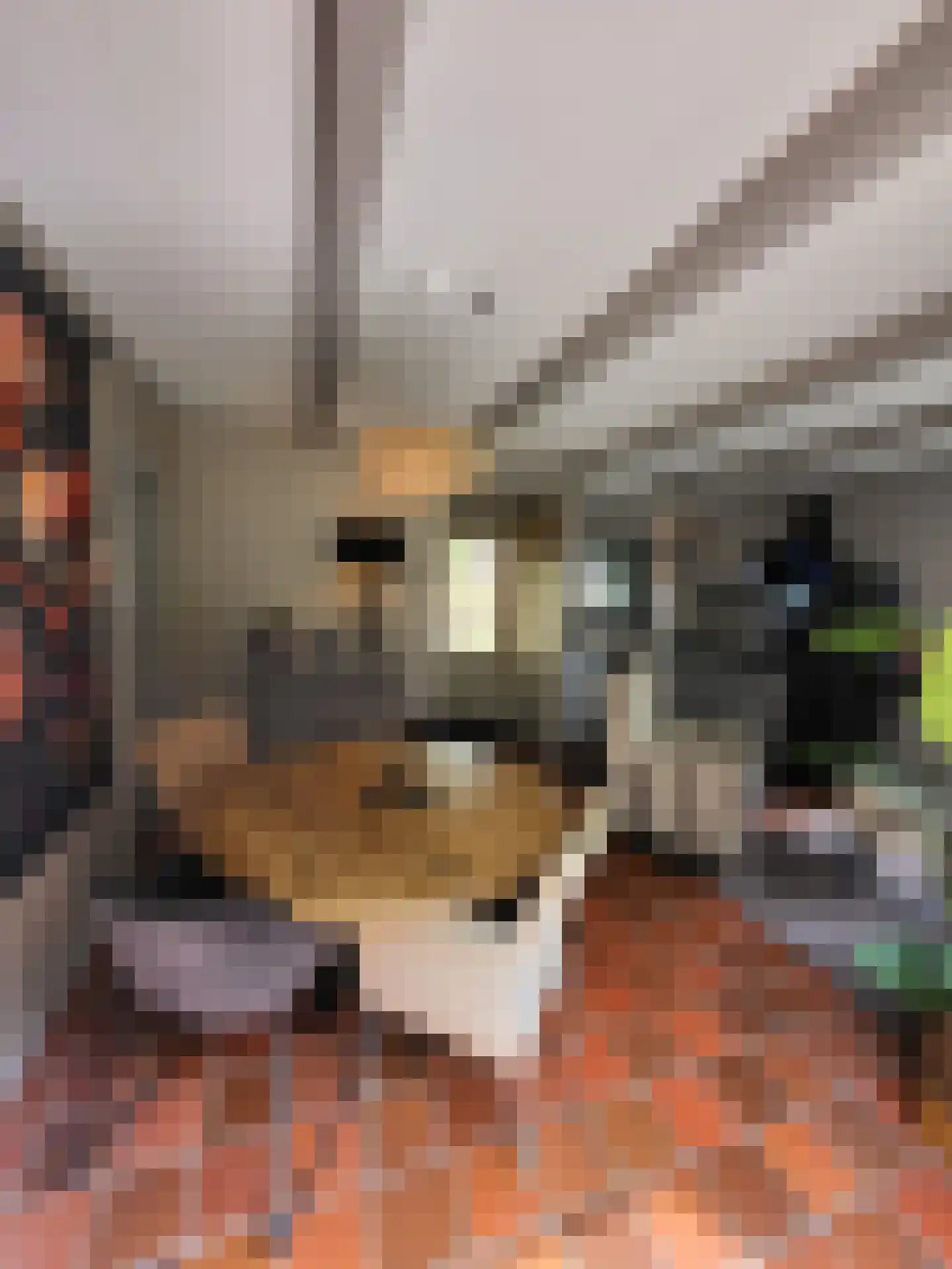 Rekerlanden 128 Warmenhuizen thumbnail 6