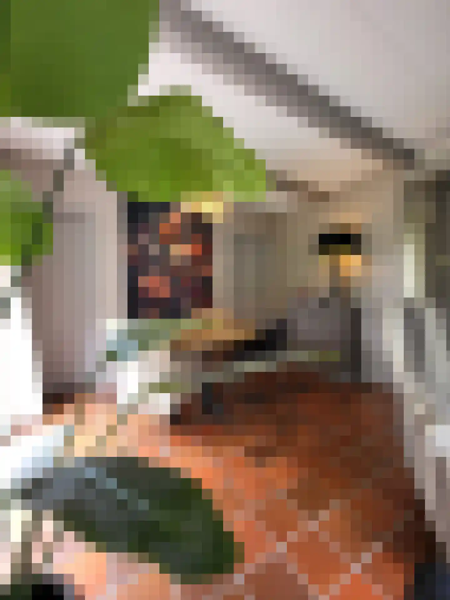 Rekerlanden 128 Warmenhuizen thumbnail 7