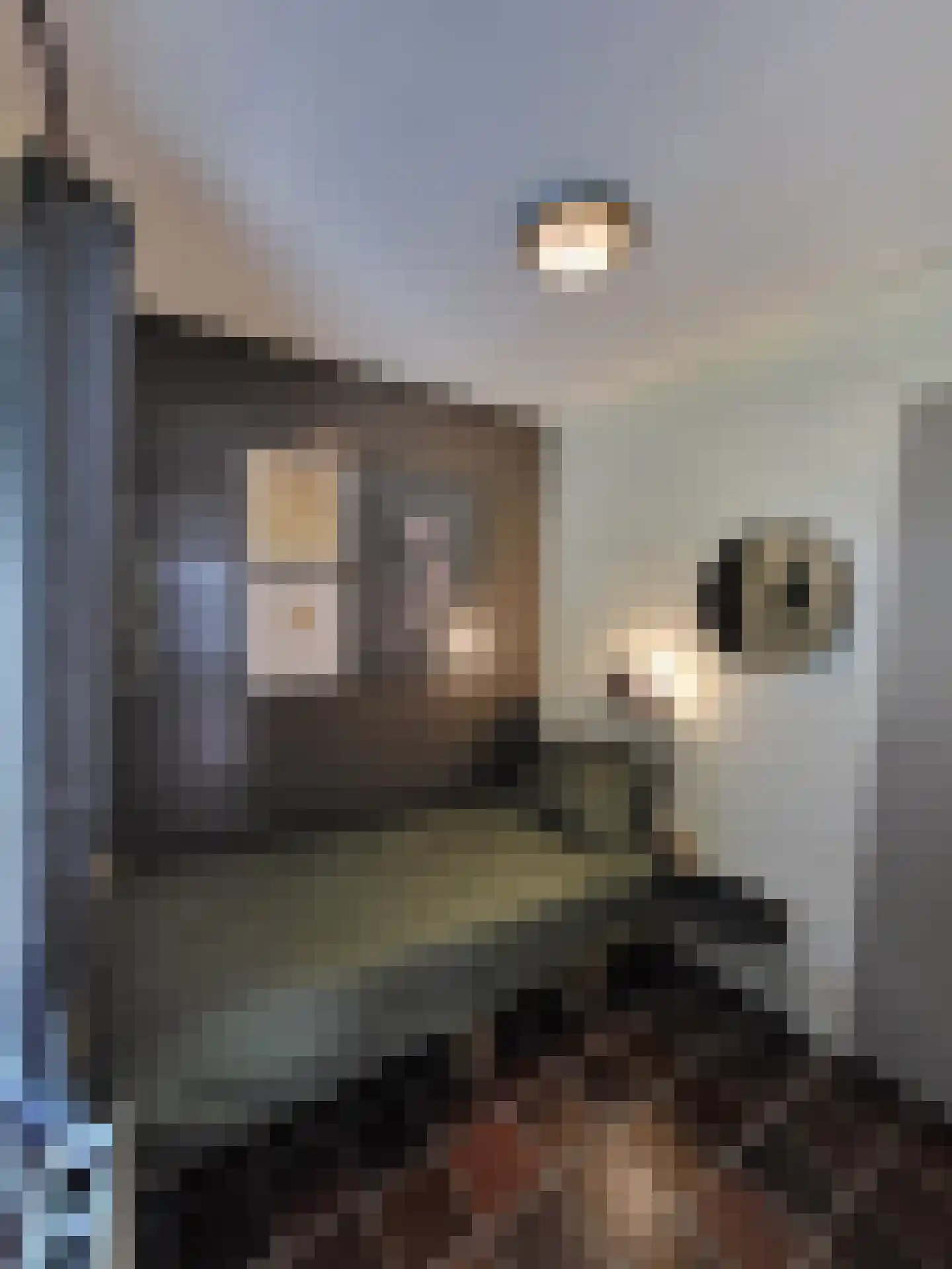 Rekerlanden 128 Warmenhuizen thumbnail 8