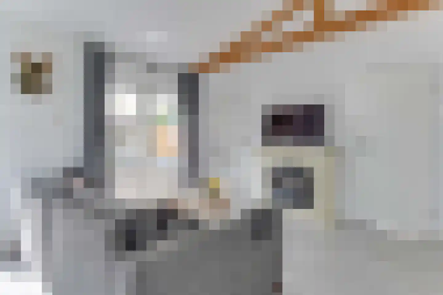 Rekerlanden 134 Warmenhuizen thumbnail 10