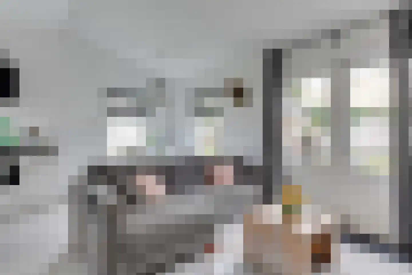 Rekerlanden 134 Warmenhuizen thumbnail 12