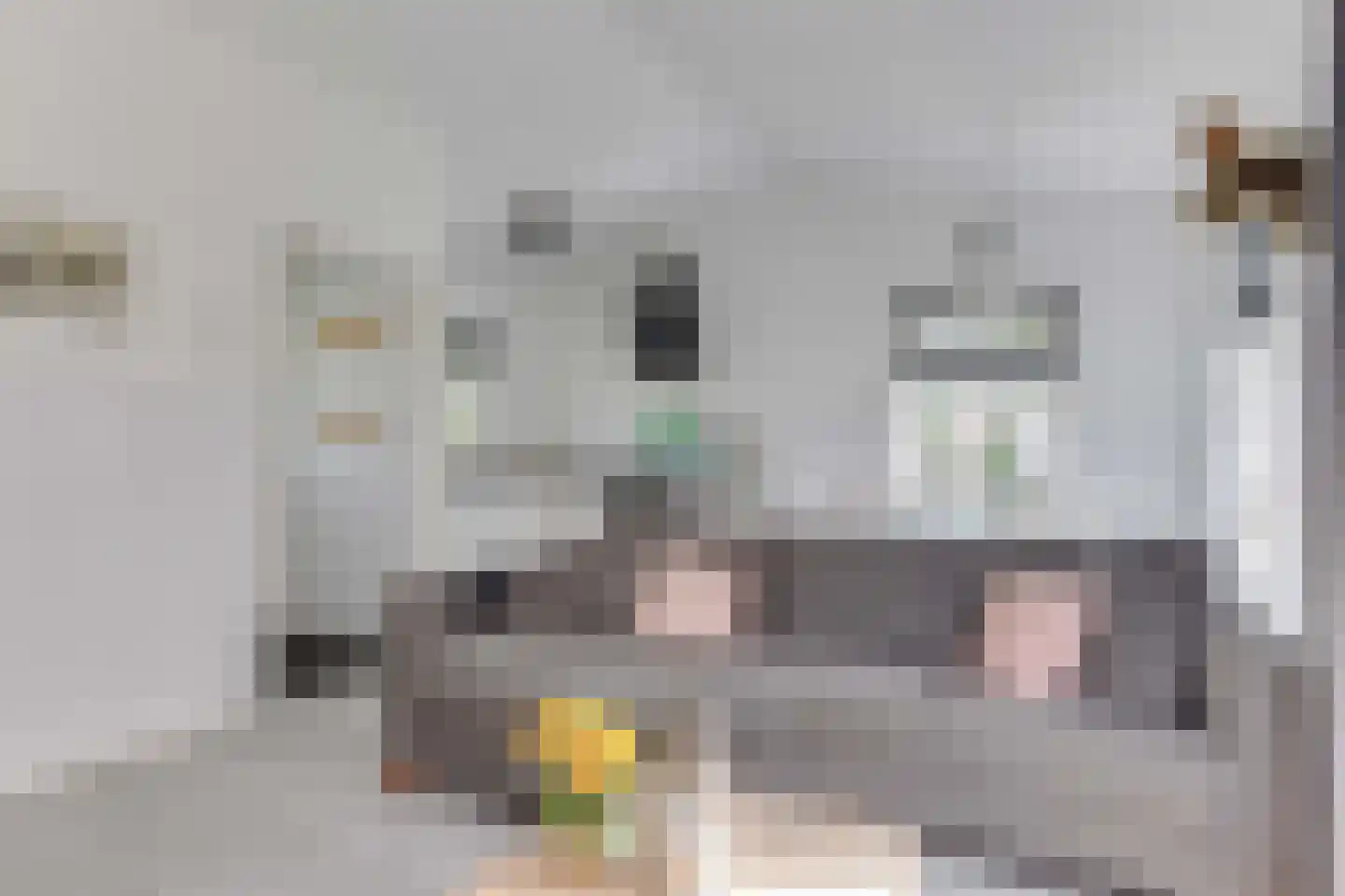 Rekerlanden 134 Warmenhuizen thumbnail 13