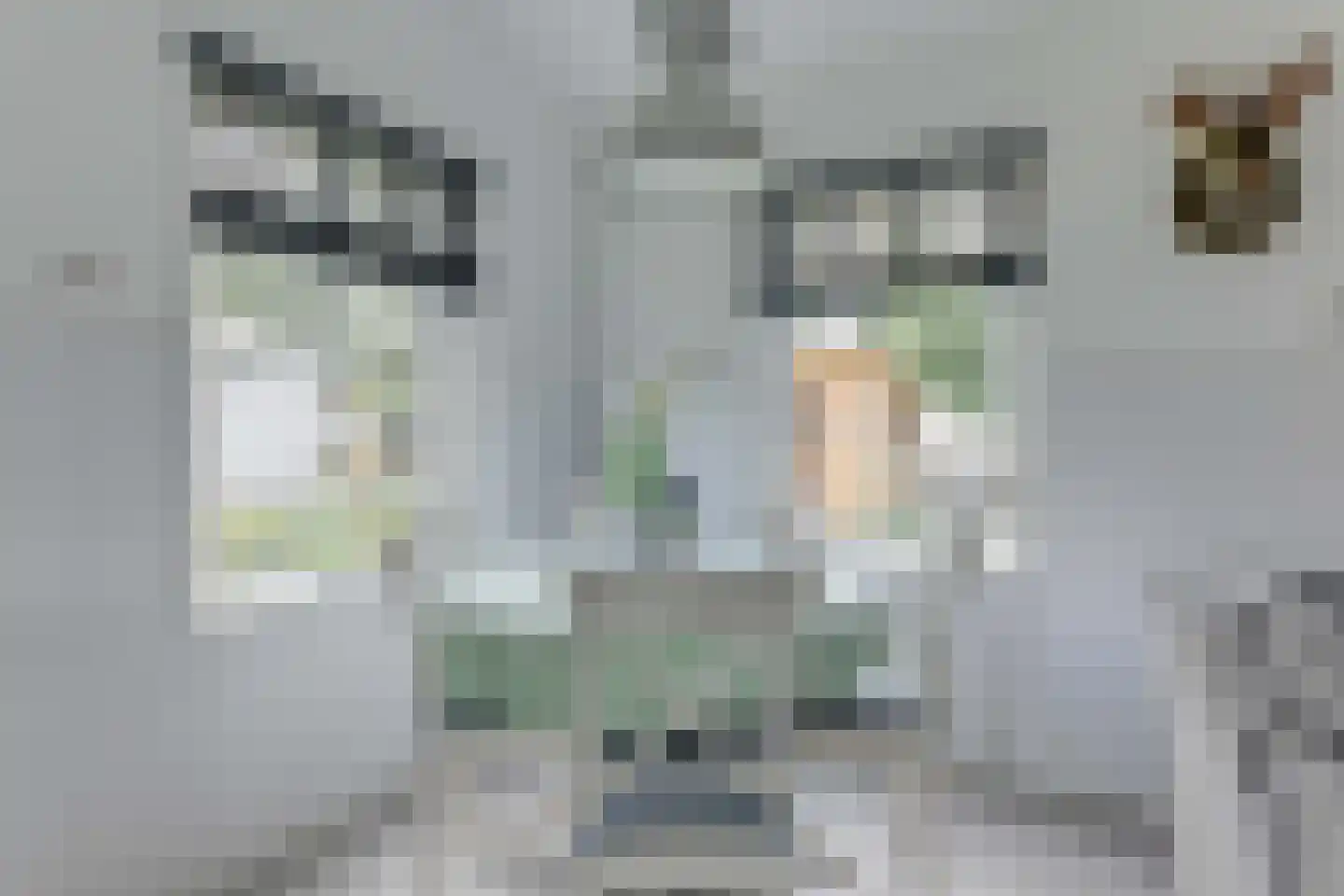 Rekerlanden 134 Warmenhuizen thumbnail 14