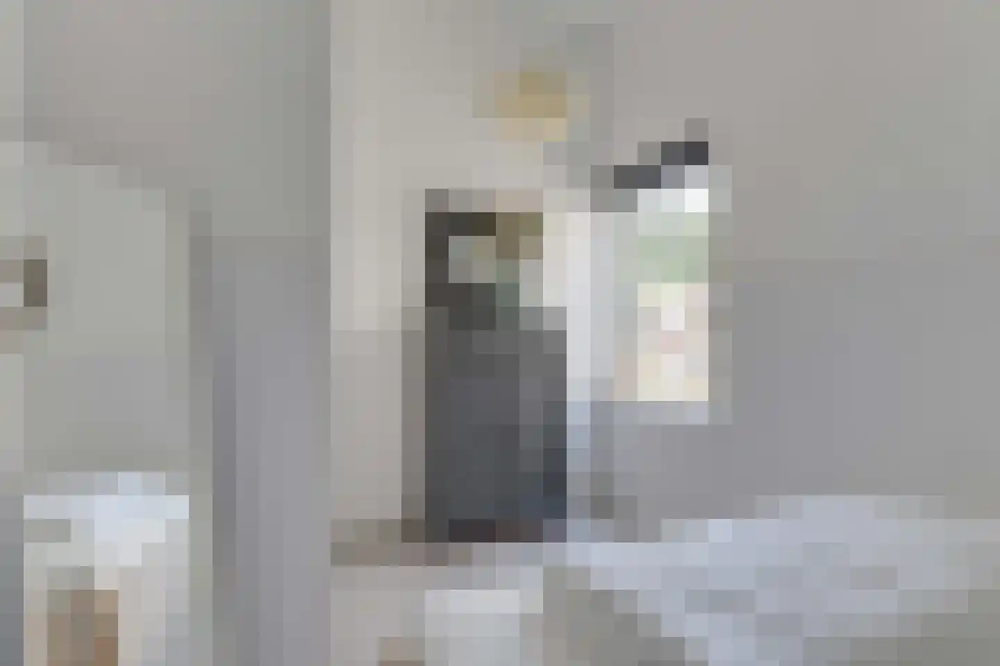 Rekerlanden 134 Warmenhuizen thumbnail 21
