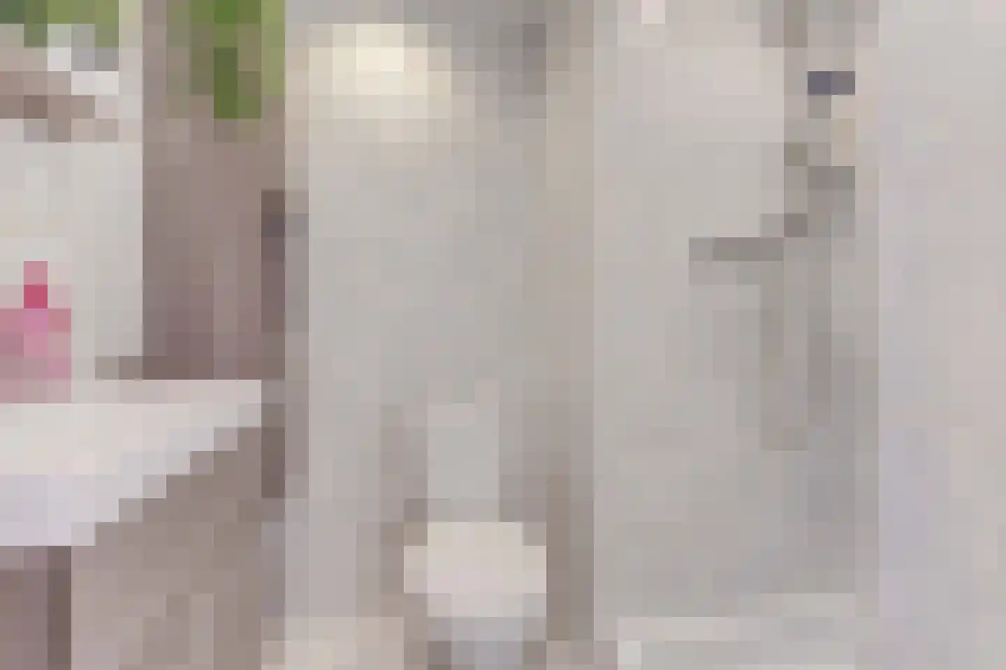 Rekerlanden 134 Warmenhuizen thumbnail 24