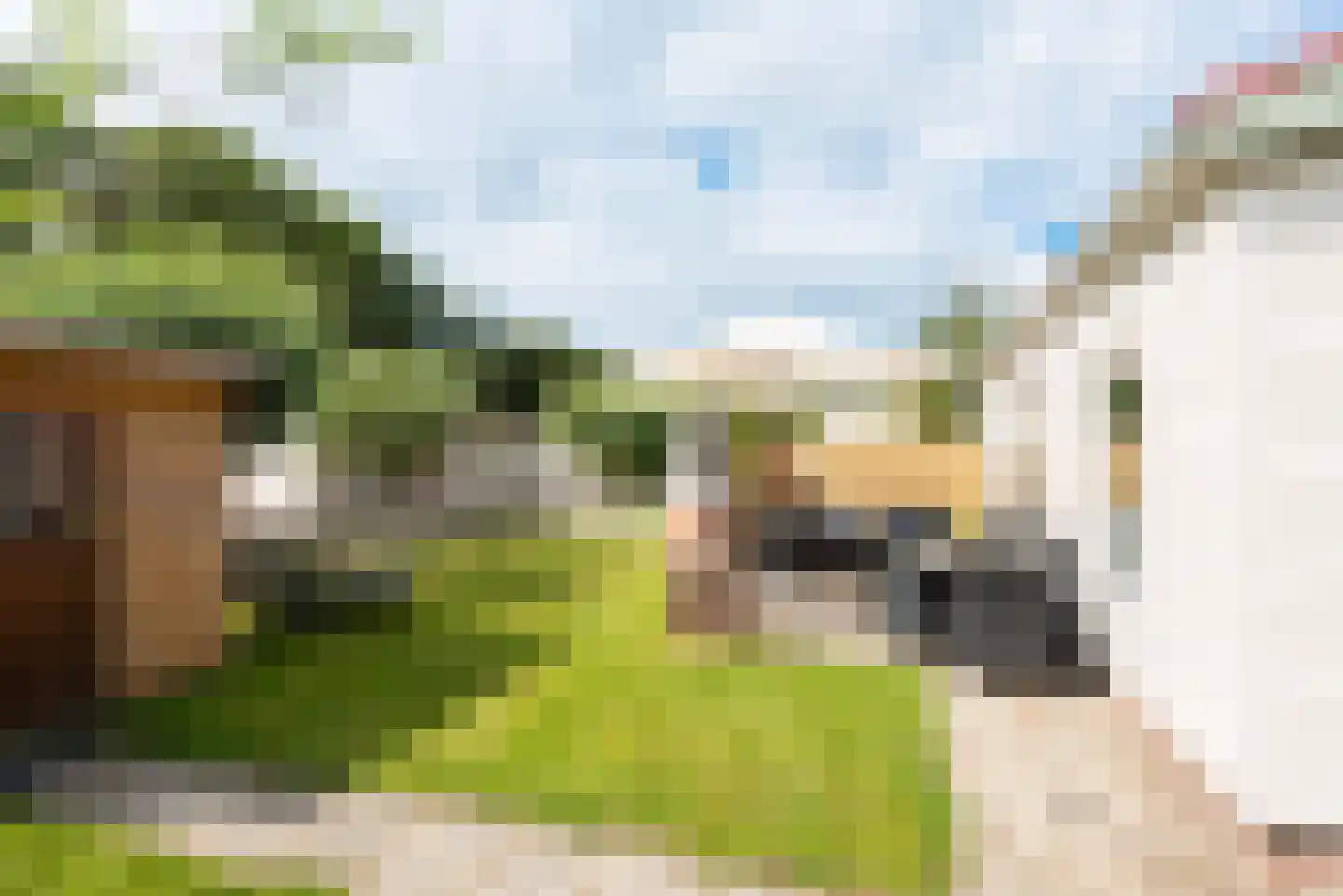 Rekerlanden 134 Warmenhuizen thumbnail 27
