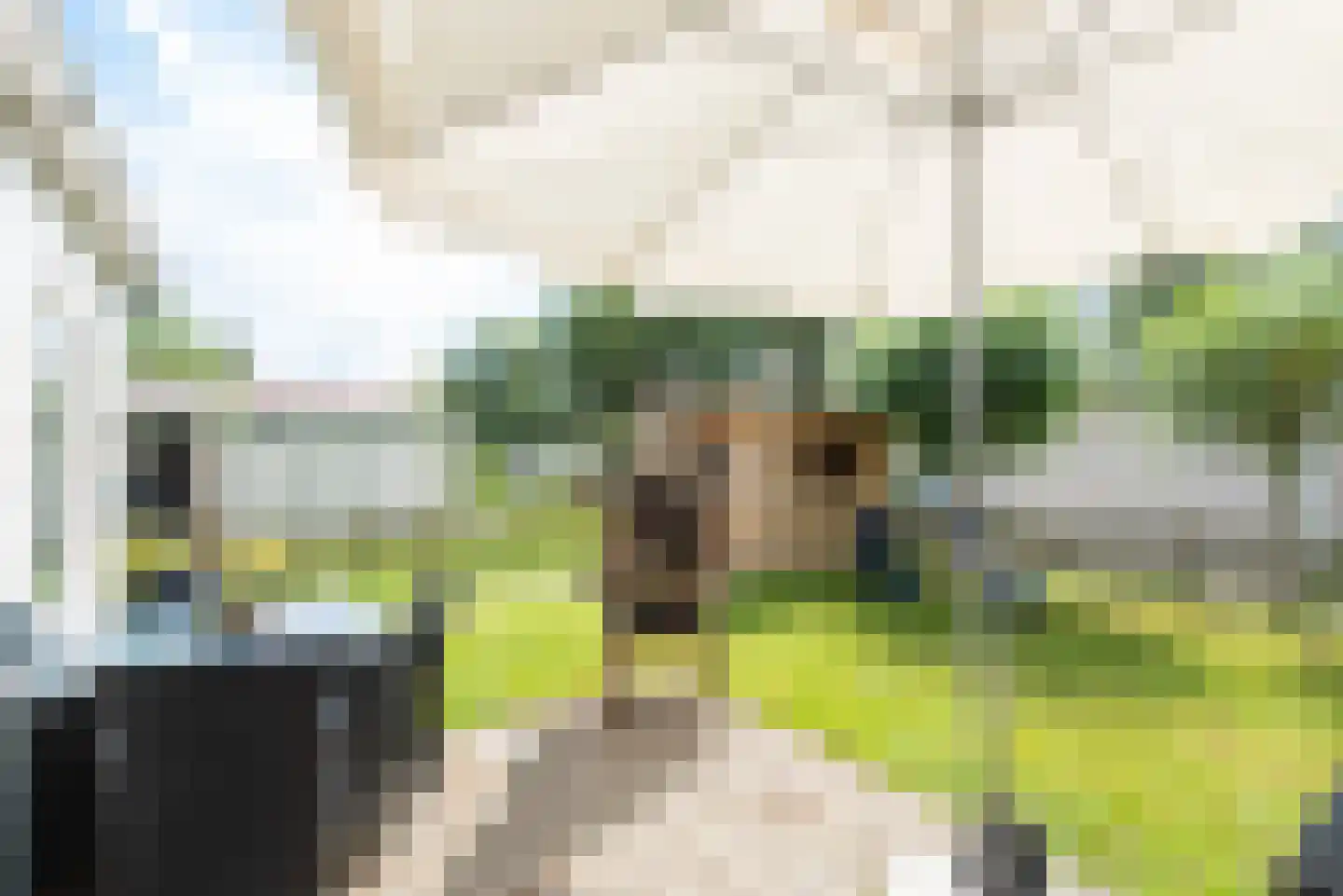 Rekerlanden 134 Warmenhuizen thumbnail 28