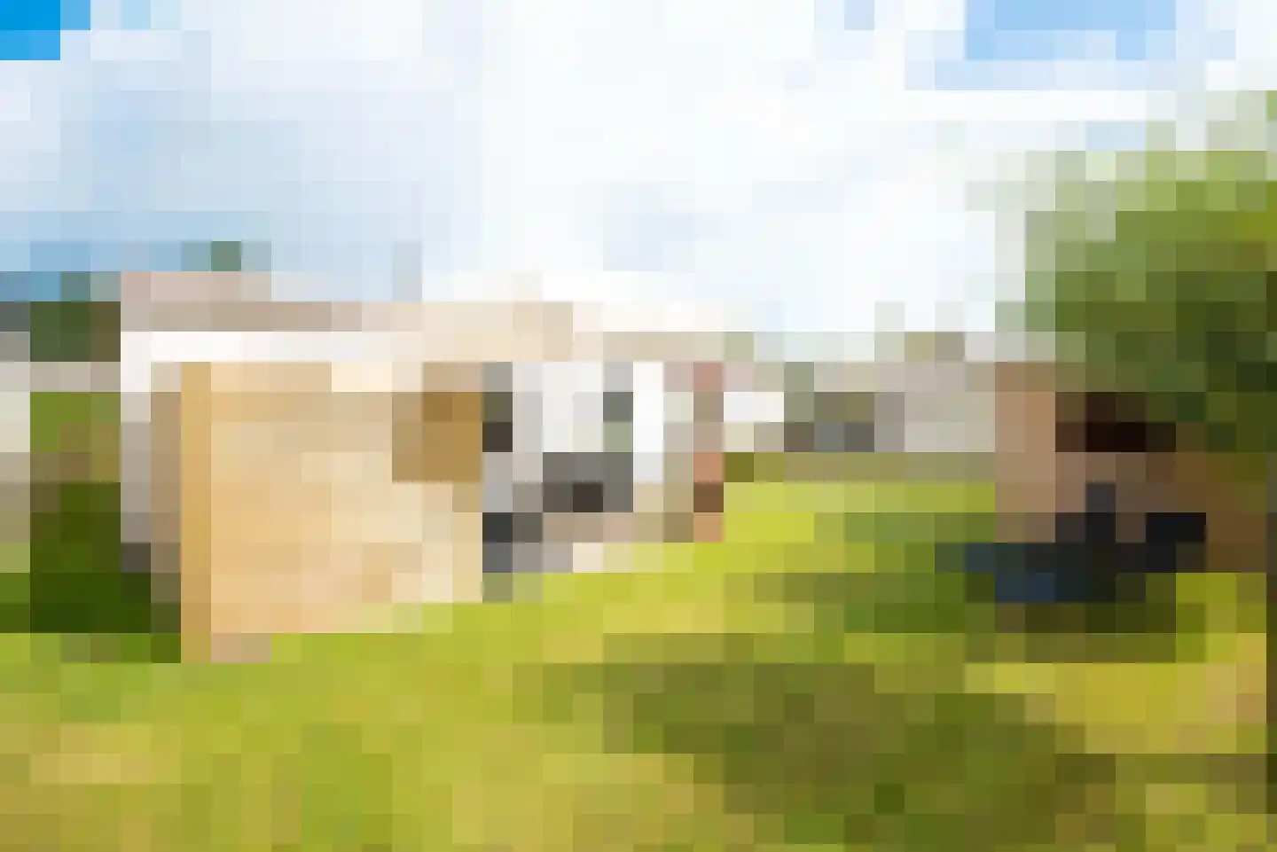 Rekerlanden 134 Warmenhuizen thumbnail 29