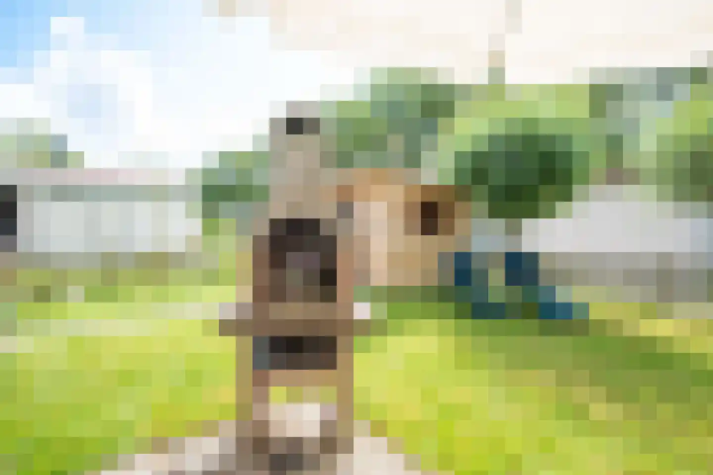 Rekerlanden 134 Warmenhuizen thumbnail 30