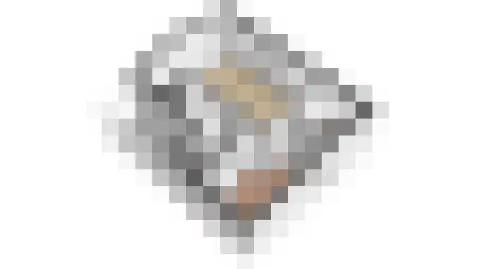 Rekerlanden 134 Warmenhuizen thumbnail 34