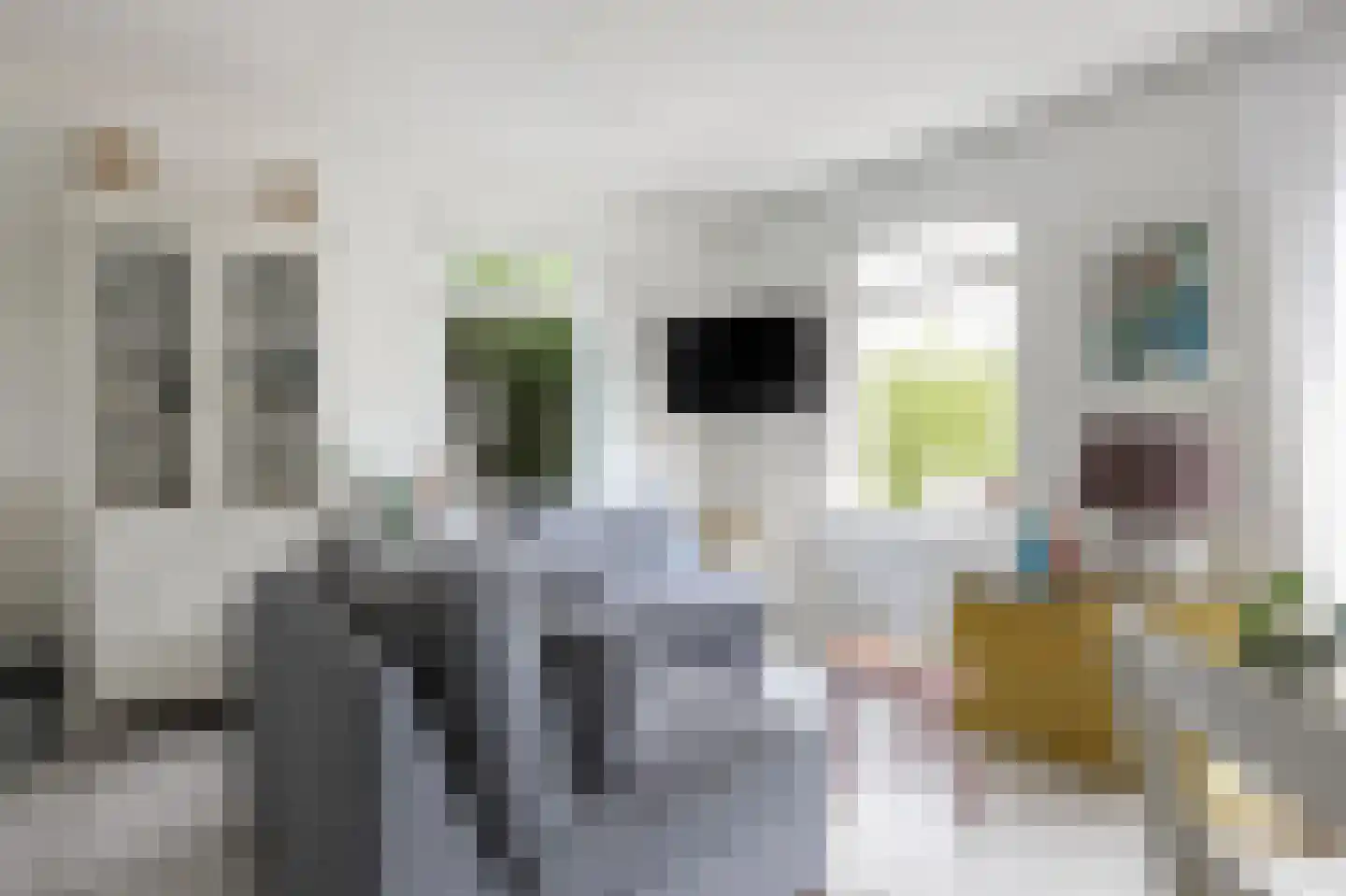 Rekerlanden 147 Warmenhuizen thumbnail 11
