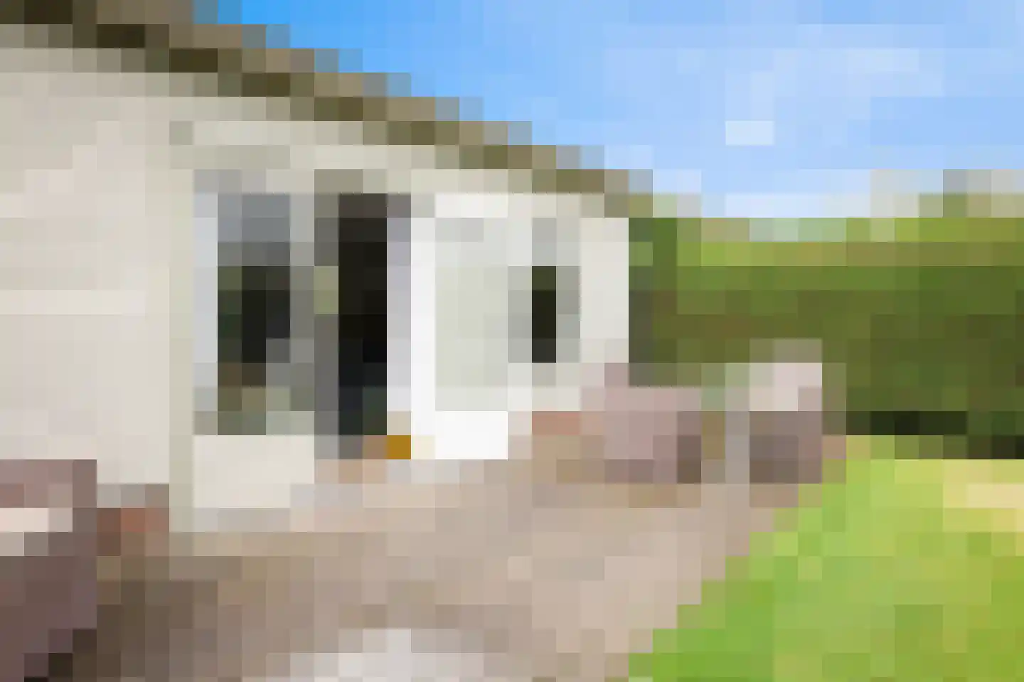 Rekerlanden 147 Warmenhuizen thumbnail 6