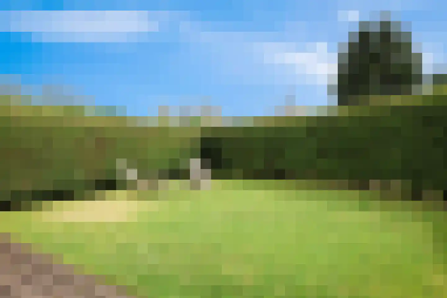 Rekerlanden 147 Warmenhuizen thumbnail 7