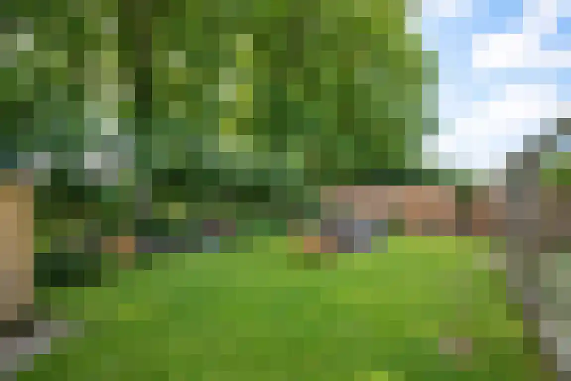 Rekerlanden 156 Warmenhuizen thumbnail 10