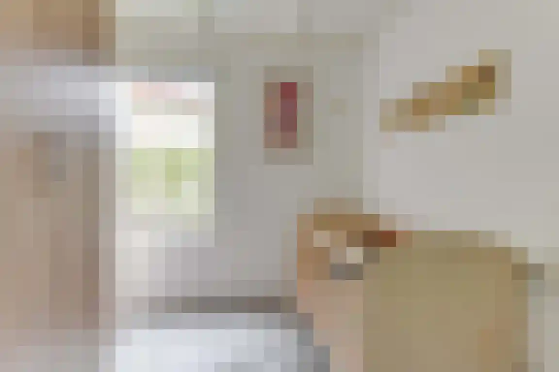 Rekerlanden 156 Warmenhuizen thumbnail 18
