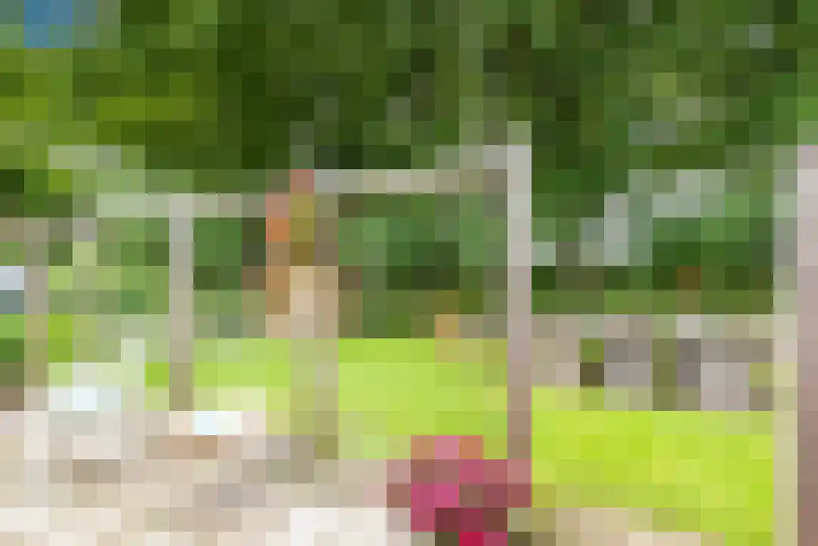 Rekerlanden 156 Warmenhuizen thumbnail 24