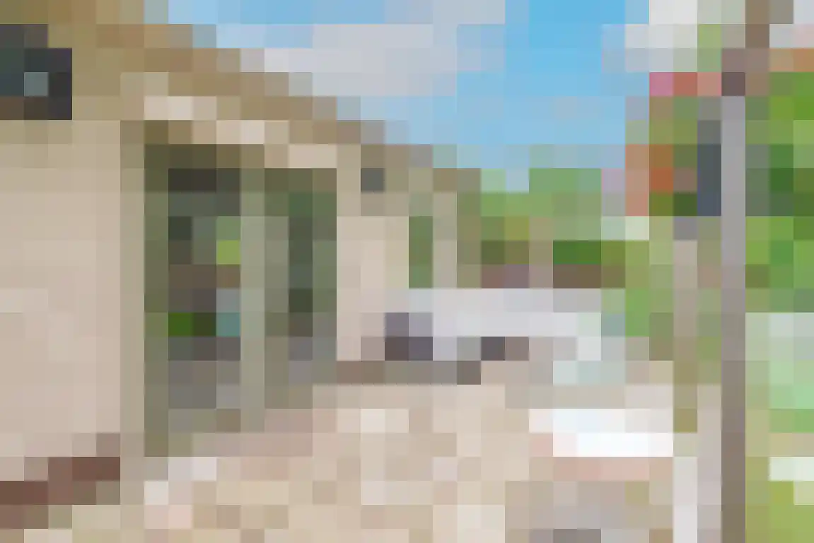 Rekerlanden 156 Warmenhuizen thumbnail 25