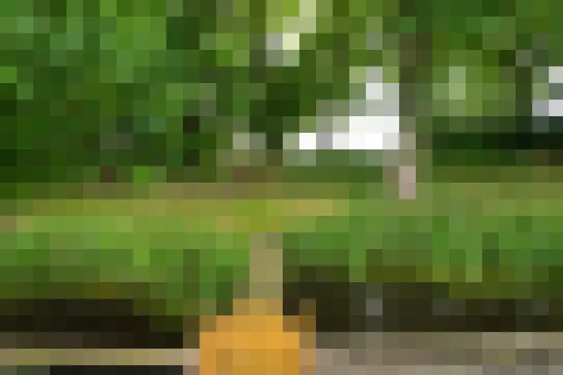 Rekerlanden 156 Warmenhuizen thumbnail 30
