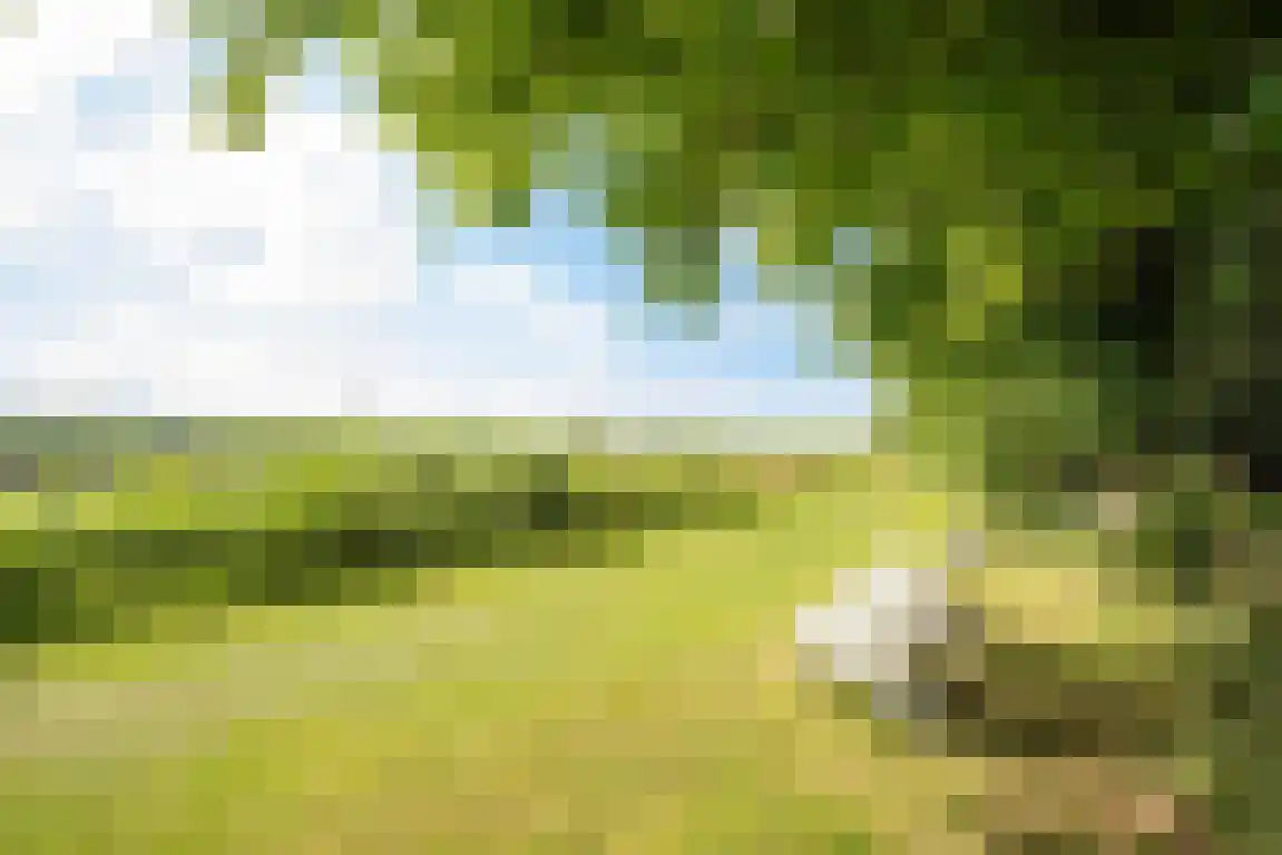 Rekerlanden 156 Warmenhuizen thumbnail 31