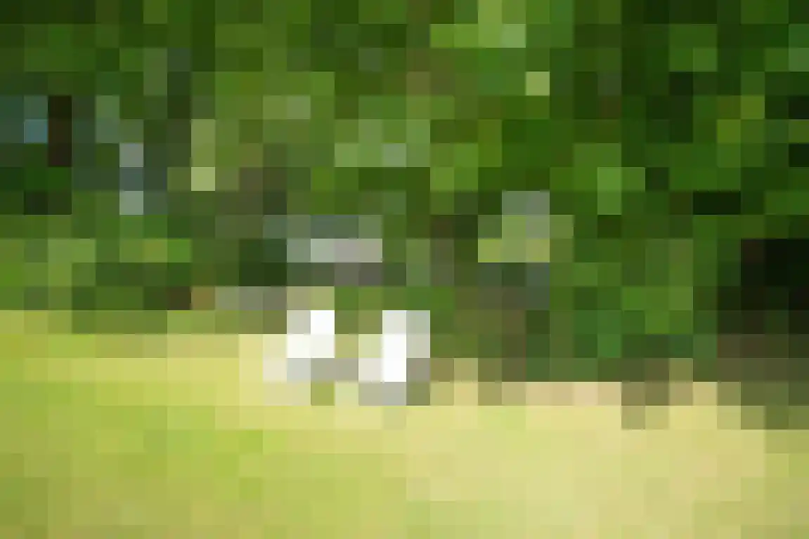 Rekerlanden 156 Warmenhuizen thumbnail 32