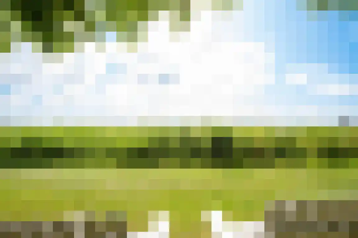 Rekerlanden 156 Warmenhuizen thumbnail 33