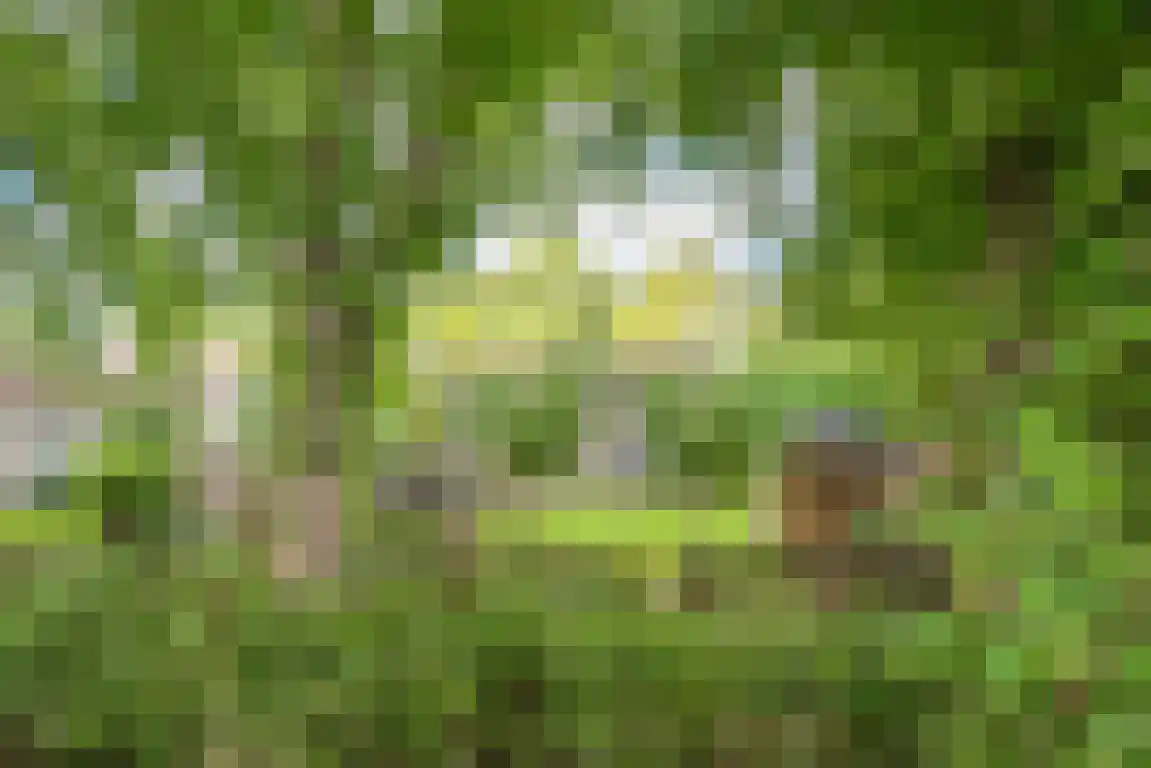 Rekerlanden 156 Warmenhuizen thumbnail 35