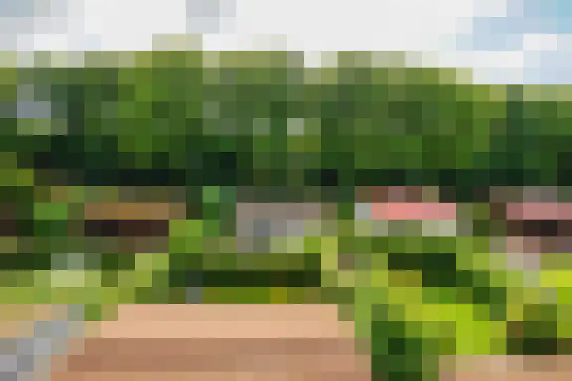 Rekerlanden 156 Warmenhuizen thumbnail 36