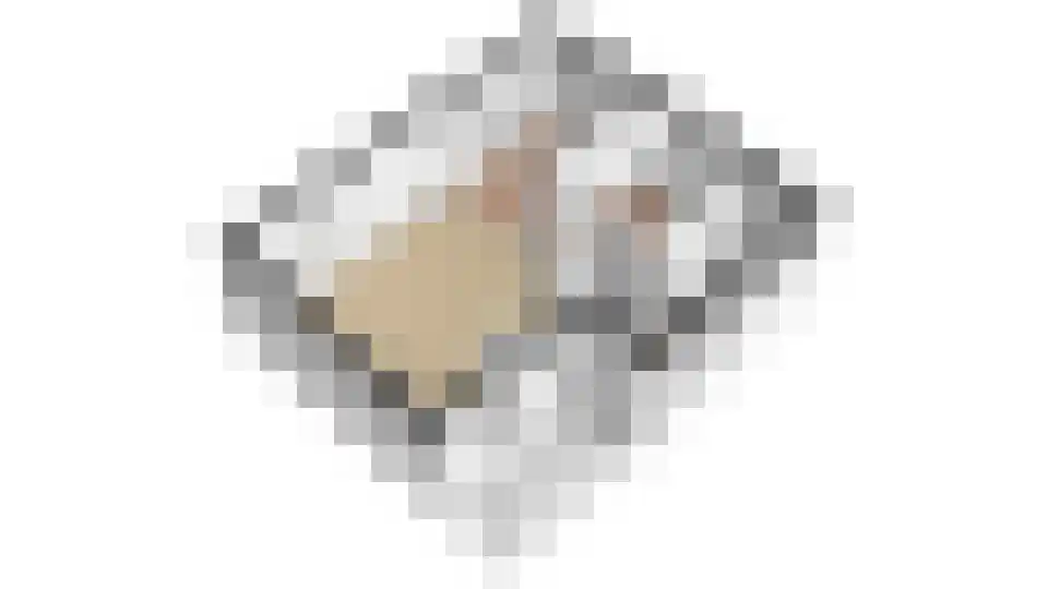 Rekerlanden 156 Warmenhuizen thumbnail 38