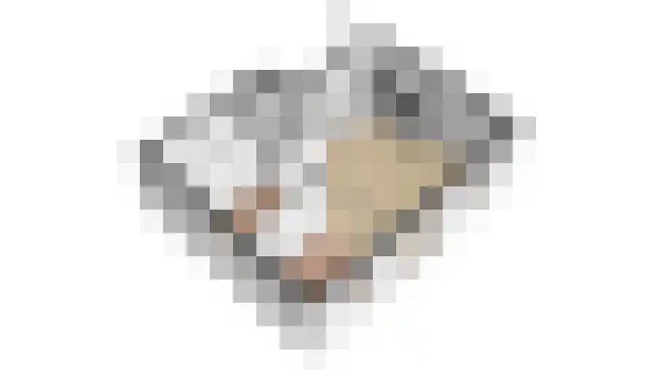 Rekerlanden 156 Warmenhuizen thumbnail 39