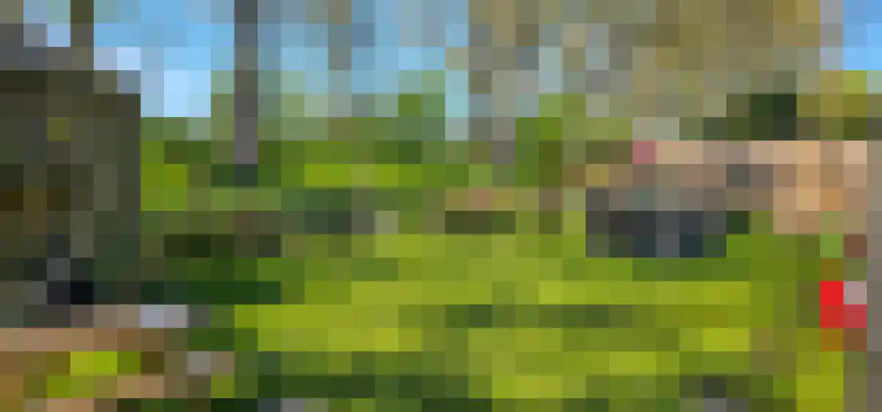 Rekerlanden 156 Warmenhuizen thumbnail 5