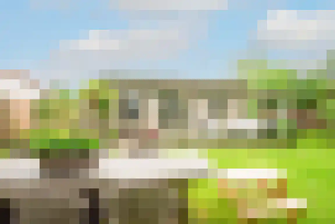 Rekerlanden 156 Warmenhuizen thumbnail 6