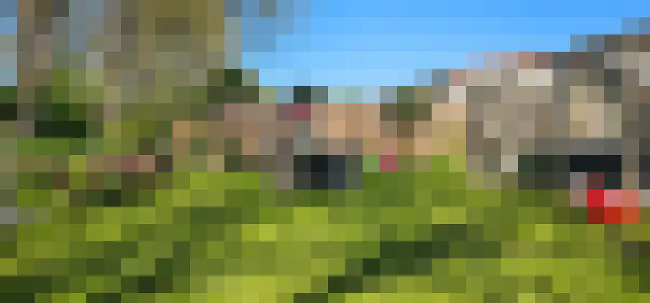 Rekerlanden 156 Warmenhuizen thumbnail 6