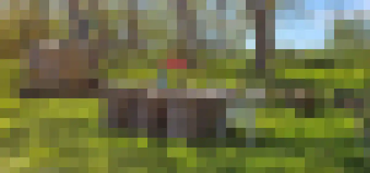 Rekerlanden 156 Warmenhuizen thumbnail 7